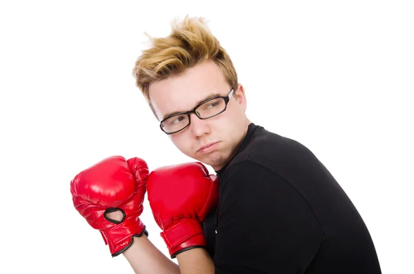 Boxer divertente — Foto Stock