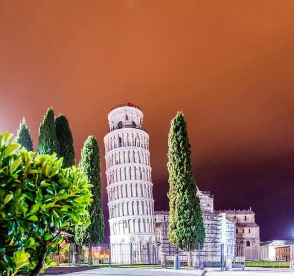 Toren van pisa in avonduren — Stockfoto