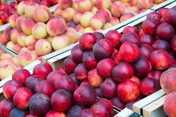Nectarines and peaches — Stock Photo, Image