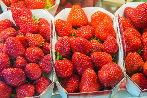 Erdbeeren in Schachteln — Stockfoto