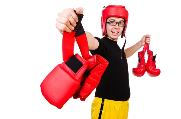 Boxer divertente — Foto Stock