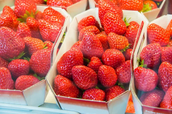 Erdbeeren in Schachteln — Stockfoto