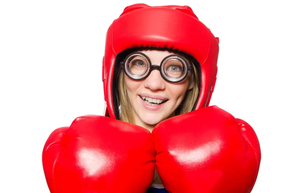 Funny boxer — Stock Photo, Image