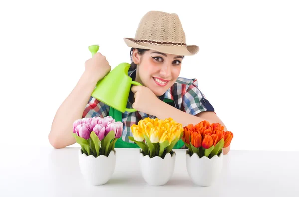 Girl watering plants — Stock Photo, Image