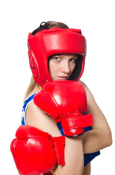 Женщины-боксёры — стоковое фото