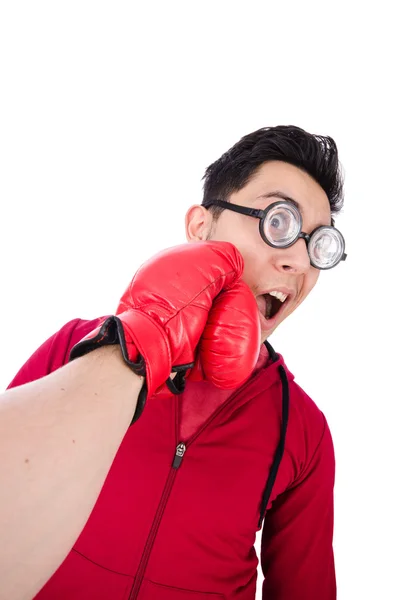 Funny boxer — Stock Photo, Image