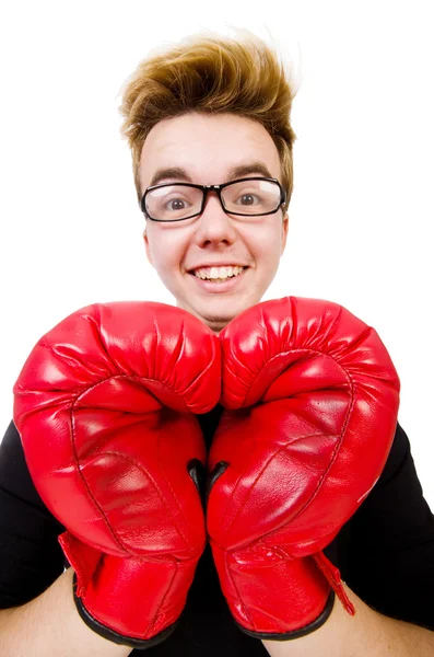 Funny boxer — Stock Photo, Image