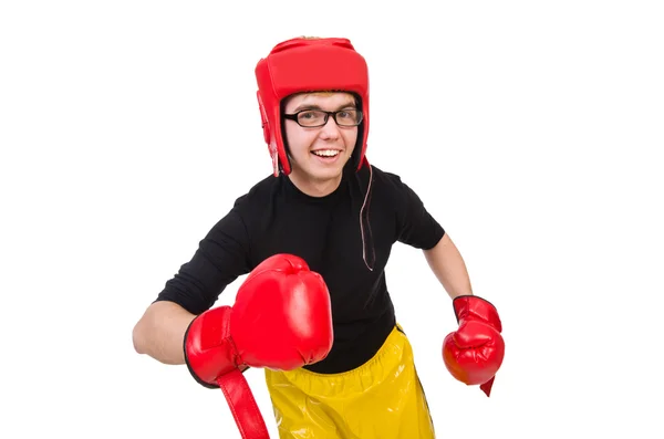 Funny boxer — Stock Photo, Image