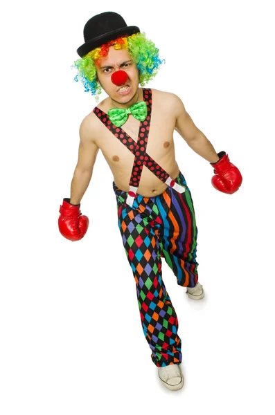 小丑与拳击手套 — 图库照片