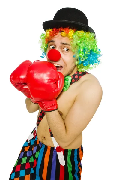 Clown with boxing gloves — Stock Photo, Image