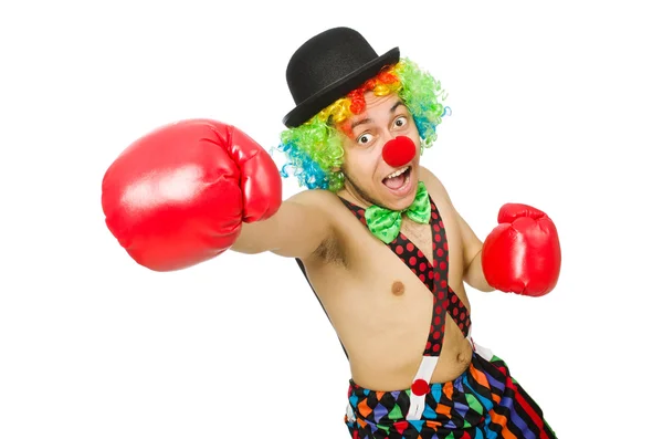 Payaso con guantes de boxeo — Foto de Stock