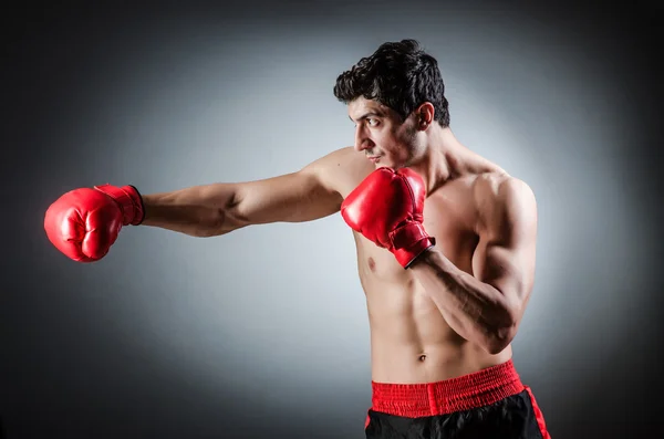 Muscular boxer — Stock Photo, Image