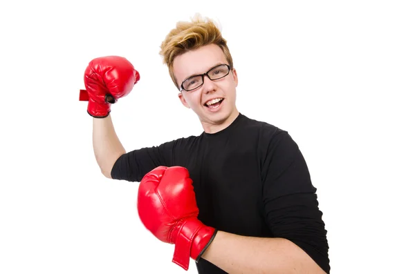 Boxer engraçado — Fotografia de Stock