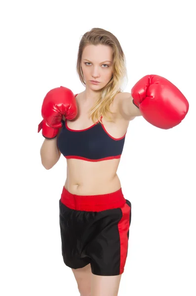 Žena boxer — Stock fotografie