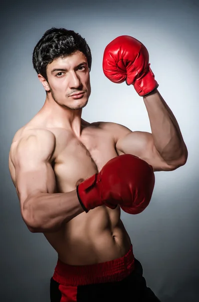 Muscular boxer — Stock Photo, Image