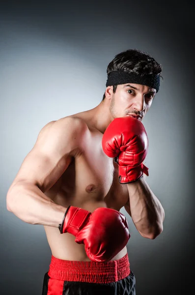 Мускулистый боксер — стоковое фото