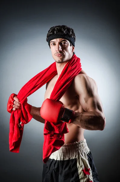 Boxeador muscular — Fotografia de Stock