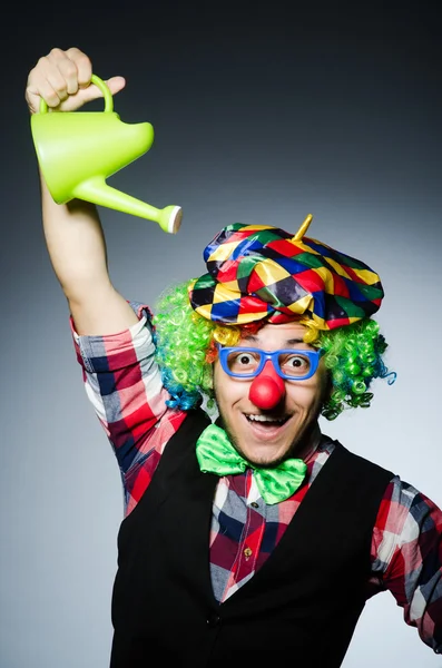 Funny clown — Stock Photo, Image