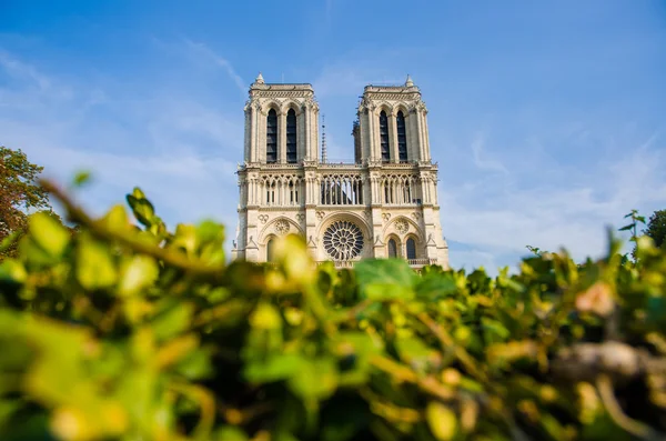 Notre Dame de Paris katedral — Stockfoto