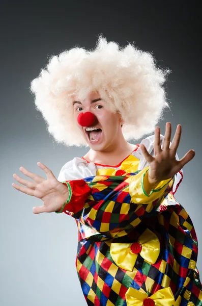 Śmieszne clown w studio — Zdjęcie stockowe