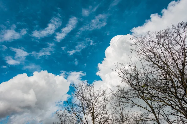 Bright blue sky — Stock Photo, Image