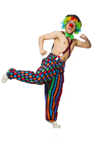 Grappige clown — Stockfoto