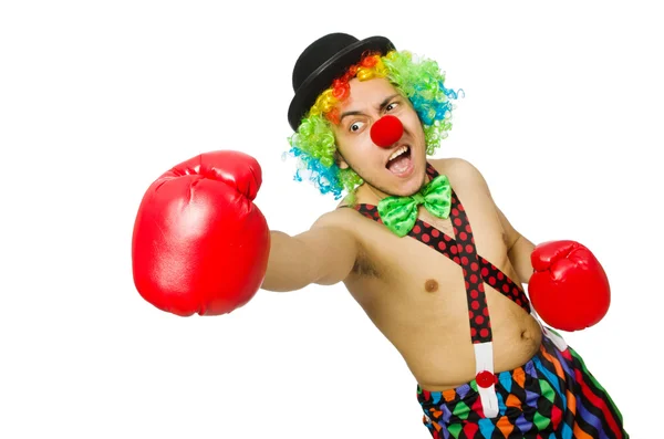 Clown med boxhandskar — Stockfoto