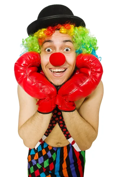 Clown with boxing gloves — Stock Photo, Image