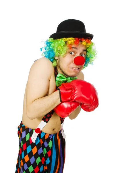 Clown med boxhandskar — Stockfoto