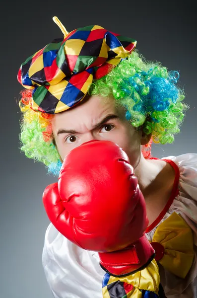 Funny clown with box gloves — Stock Photo, Image