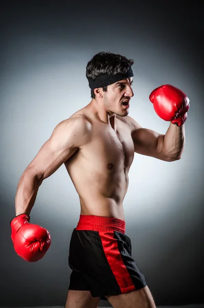 Мускулистый боксер — стоковое фото