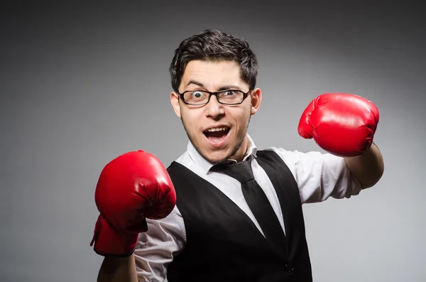 Funny boxer businessman in sport concept — Stock Photo, Image