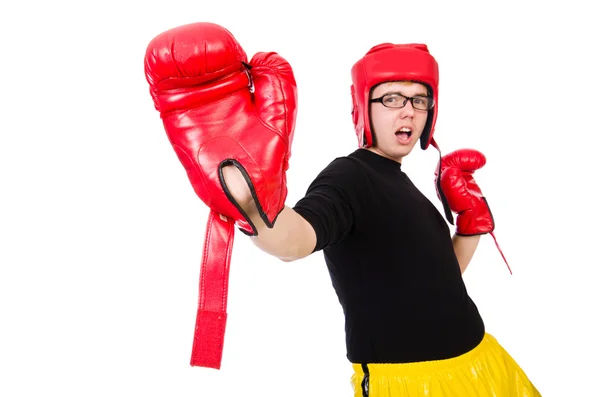 Boxer engraçado — Fotografia de Stock