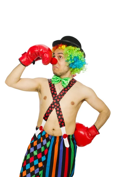 Clown med boxhandskar — Stockfoto