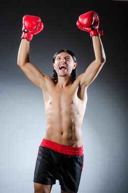 Dövüş sanatları savaşçı