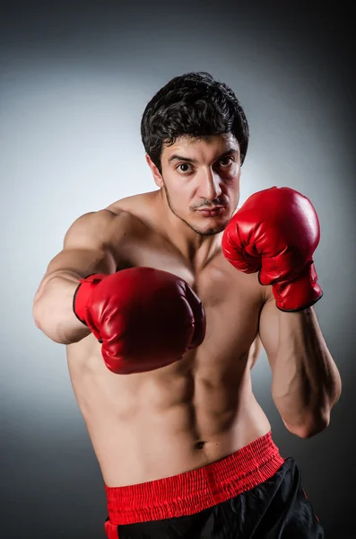 Boxeador muscular con guantes rojos —  Fotos de Stock