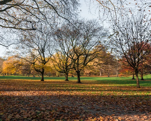Allee mit Bäumen am Herbsttag — Stockfoto