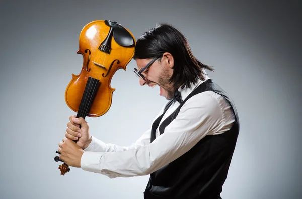 Funny fiddle violin player in musical concept — Stock Photo, Image