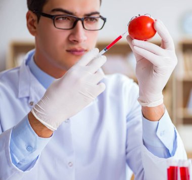 Bilim adamı organik meyve ve sebzeler üzerinde çalışıyor.