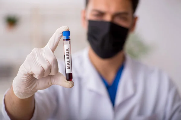 Genç erkek biyokimyacı kan örneklerini test ediyor. — Stok fotoğraf