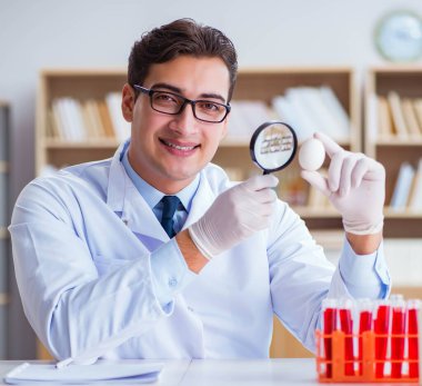 Bilim adamı organik meyve ve sebzeler üzerinde çalışıyor.