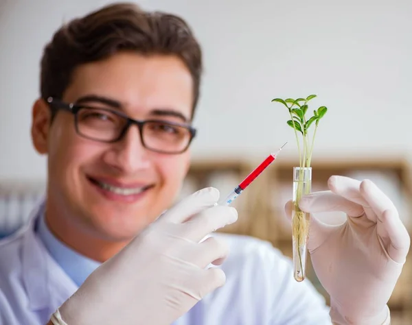 Naukowiec biotechnologii pracujący w laboratorium — Zdjęcie stockowe