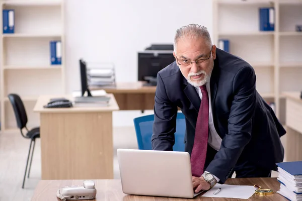 Oude mannelijke werknemer die op kantoor werkt — Stockfoto