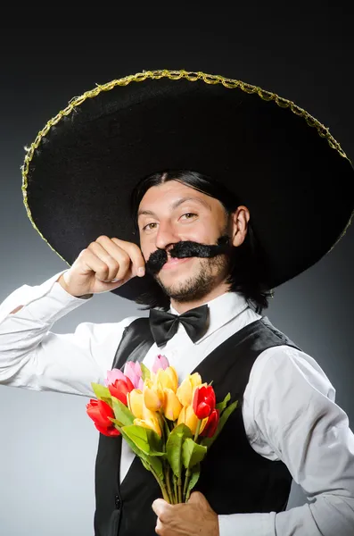 Lustiger Mexikaner mit Sombrero im Konzept — Stockfoto