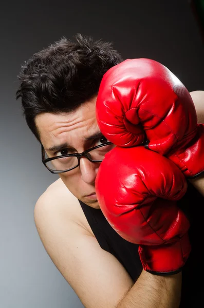 Boxer drôle avec des gants rouges sur fond sombre — Photo