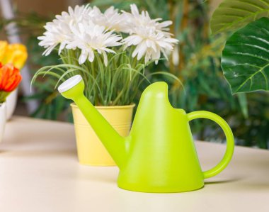 Çeşitli çiçek saksı hme, düzenlenen