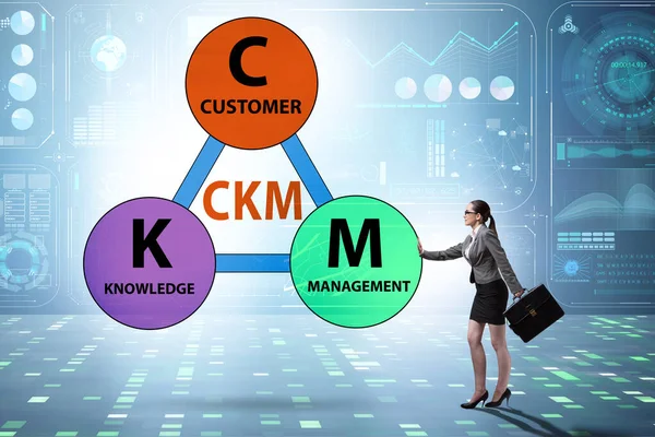Concetto aziendale di gestione della conoscenza dei clienti — Foto Stock