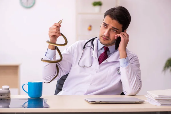 Νεαρός άνδρας γιατρός που κρατάει φίδι στην κλινική — Φωτογραφία Αρχείου