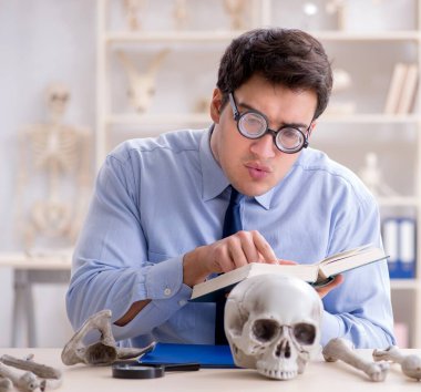 Komik çılgın profesör insan iskeletini inceliyor.