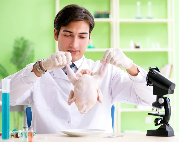 Assistente di laboratorio al test del pollo OGM — Foto Stock